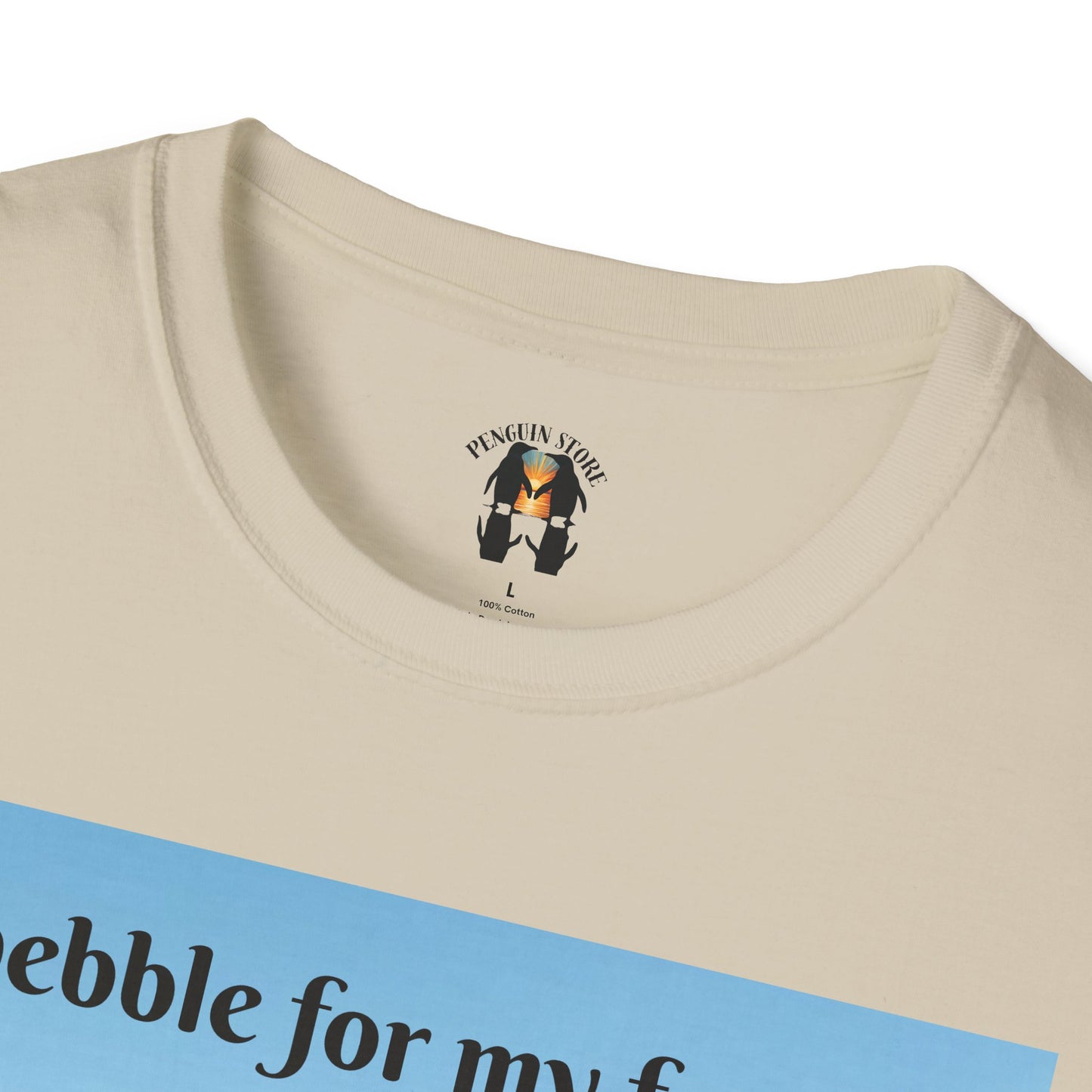 A Pebble for My Forever - Valentine's Softstyle T-shirt