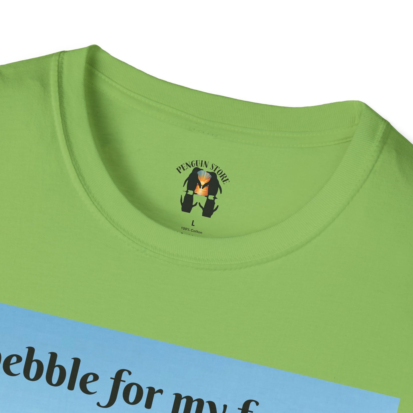 A Pebble for My Forever - Valentine's Softstyle T-shirt