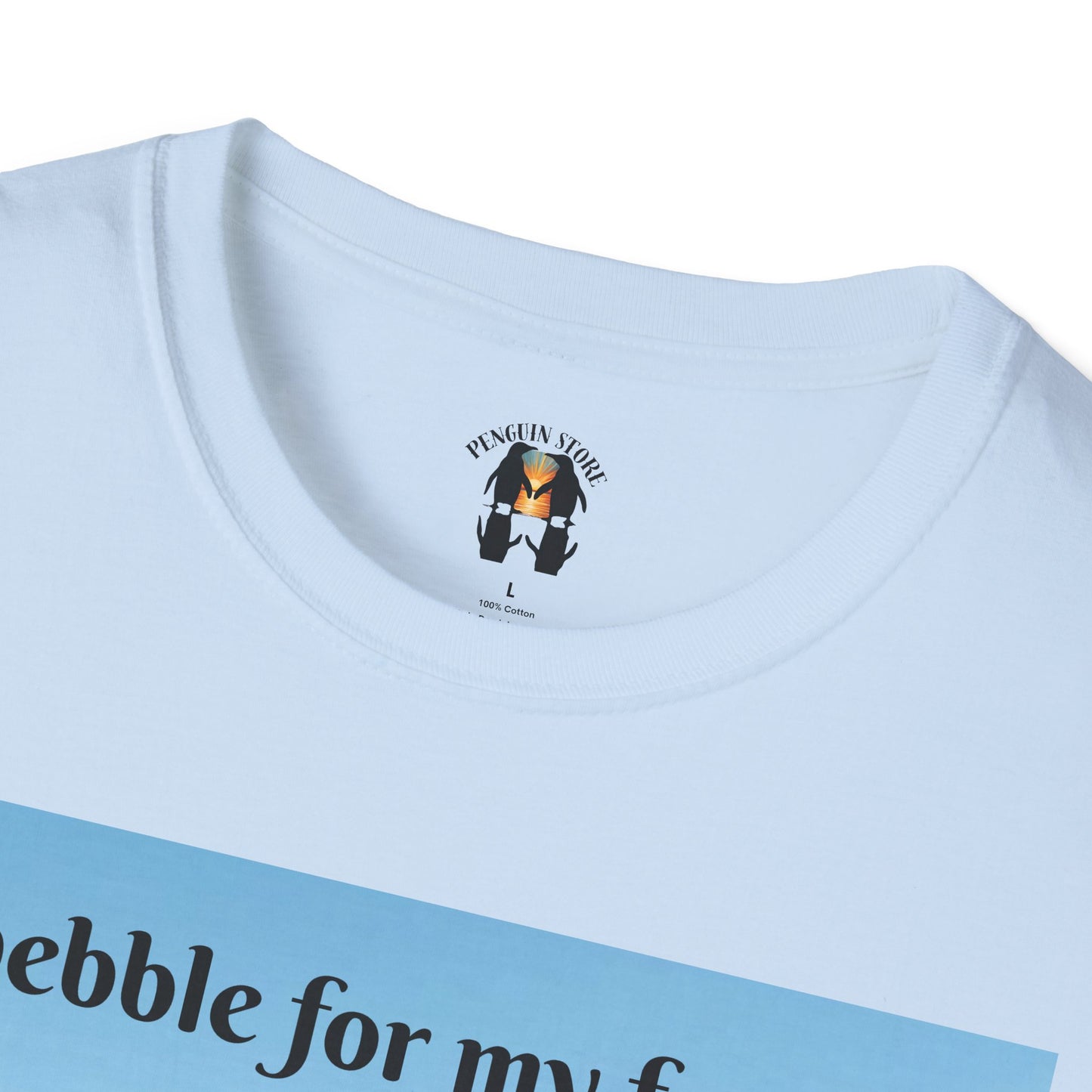 A Pebble for My Forever - Valentine's Softstyle T-shirt