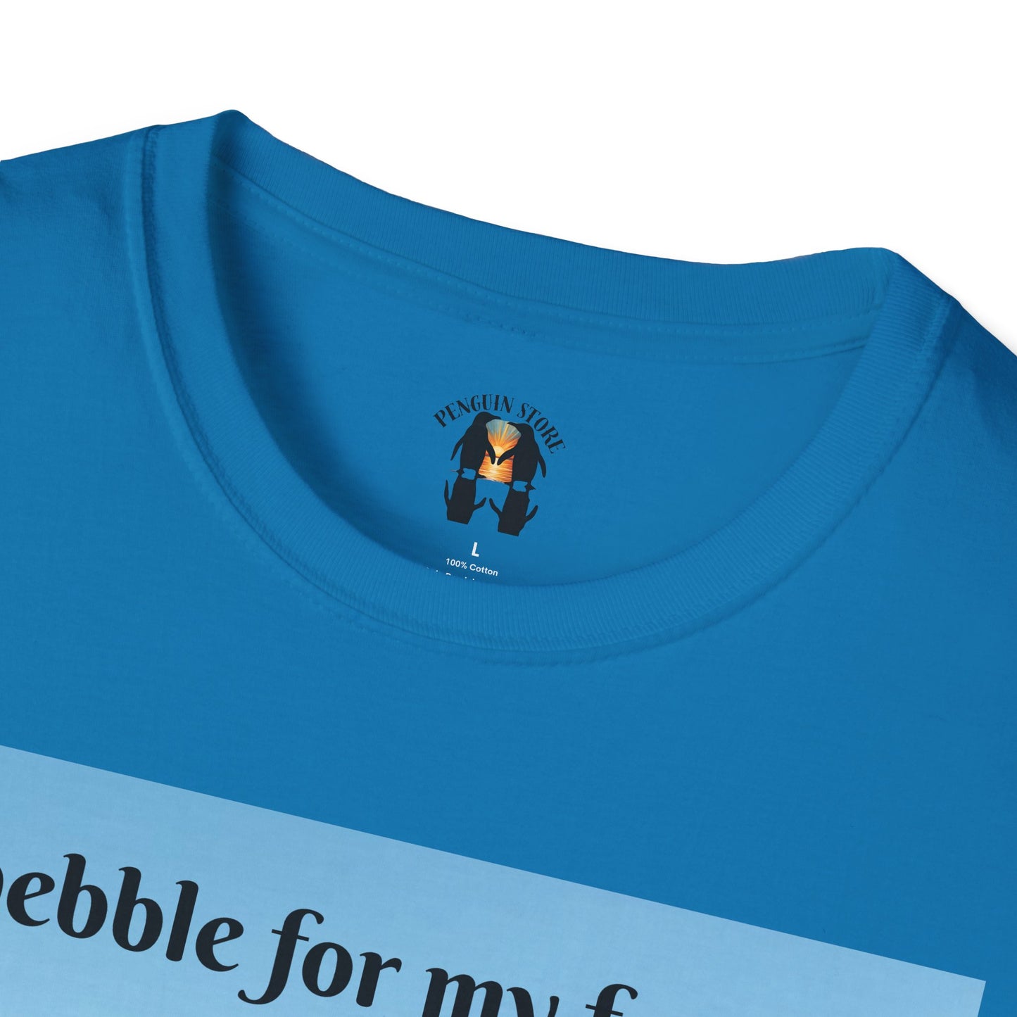 A Pebble for My Forever - Valentine's Softstyle T-shirt