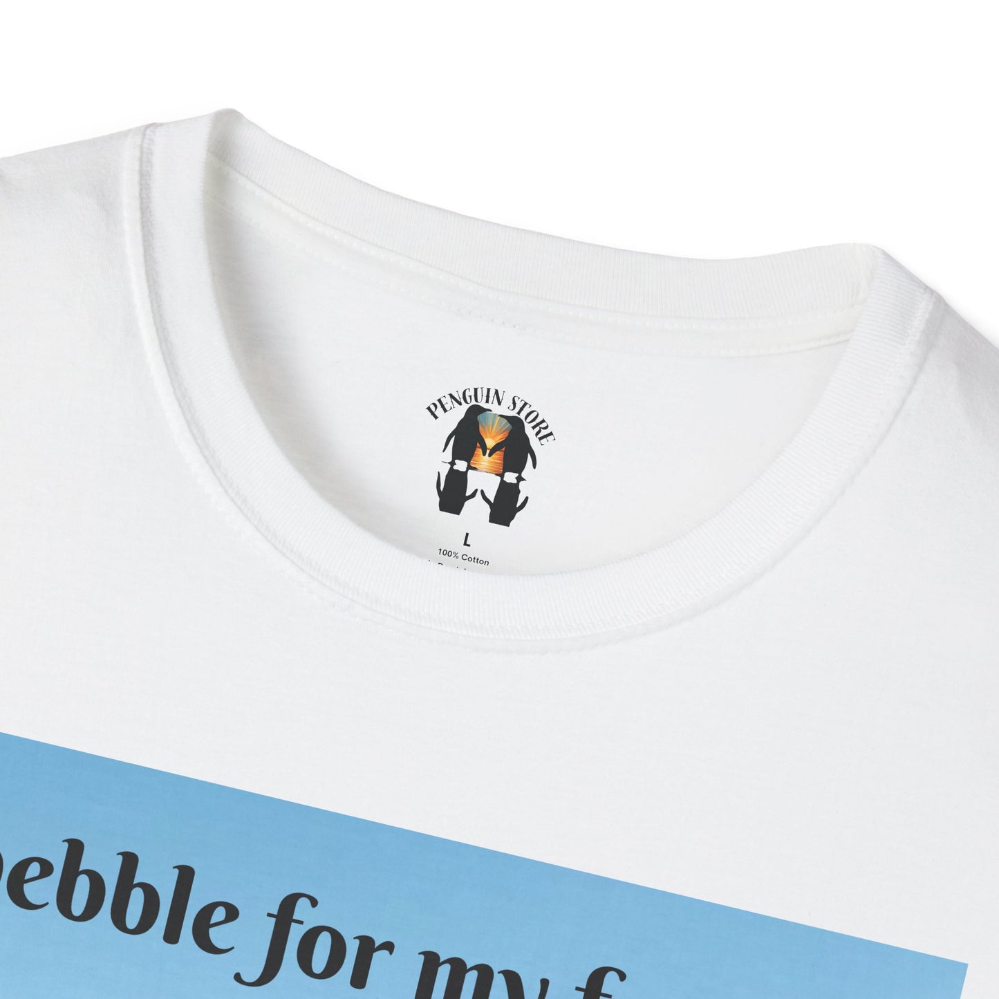 A Pebble for My Forever - Valentine's Softstyle T-shirt